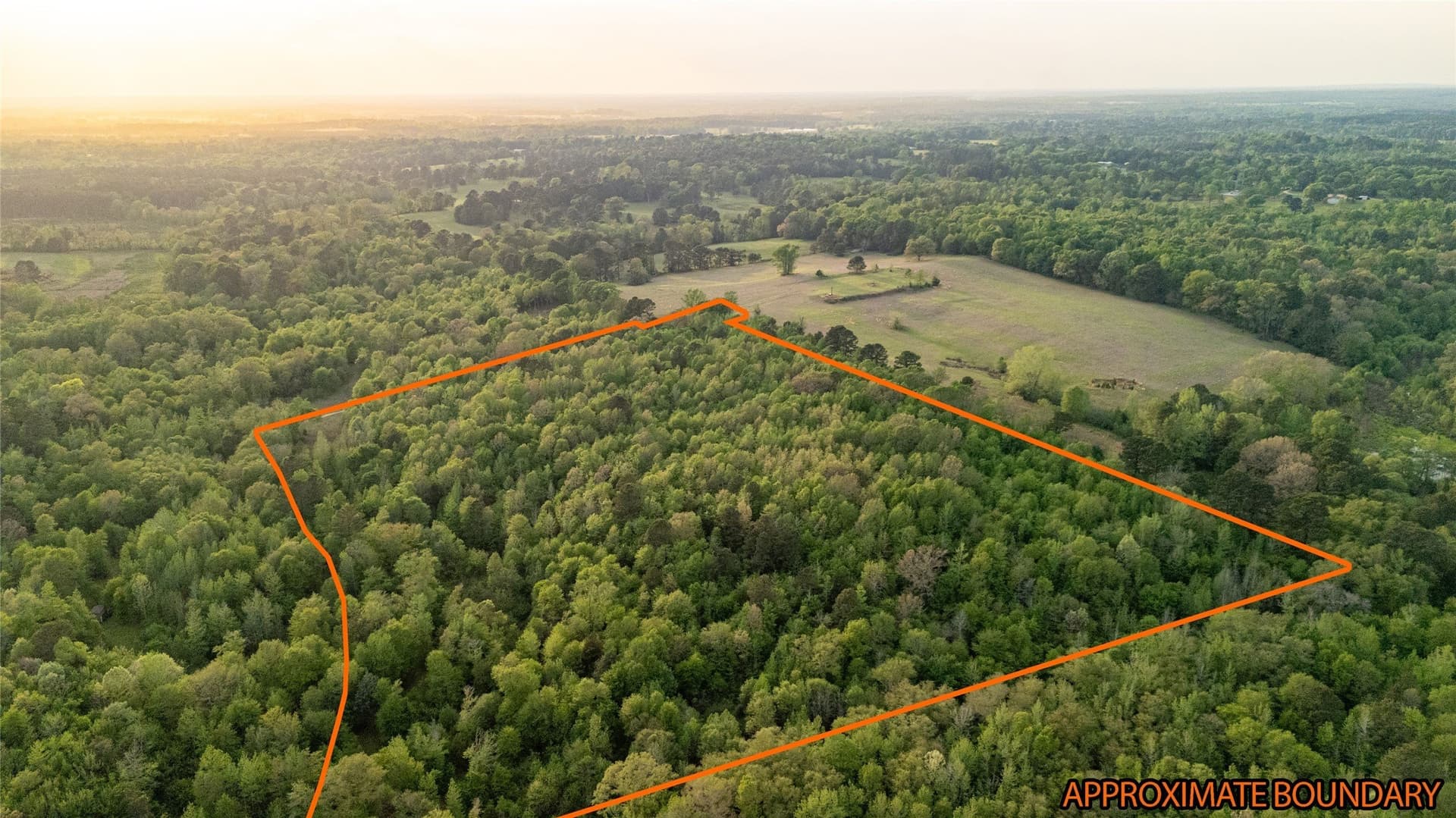 22.5 acres in Smith County - photo 3