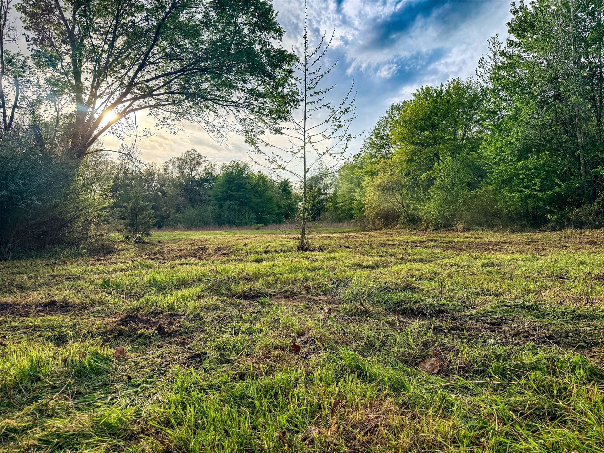 22.5 acres in Smith County - photo 17