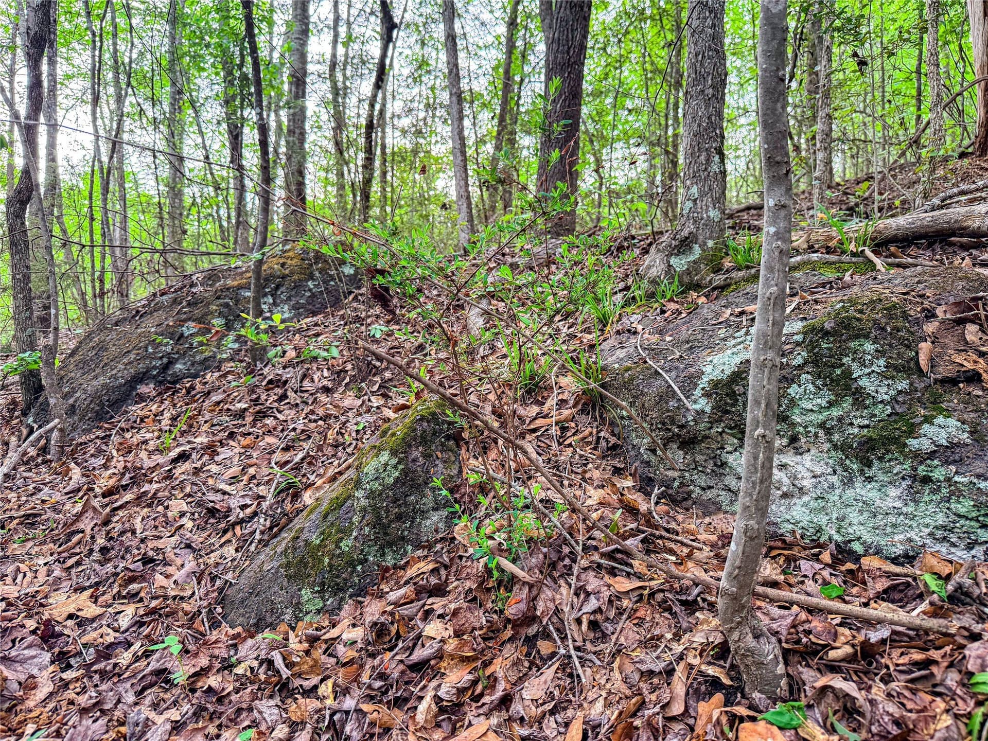 22.5 acres in Smith County - photo 31