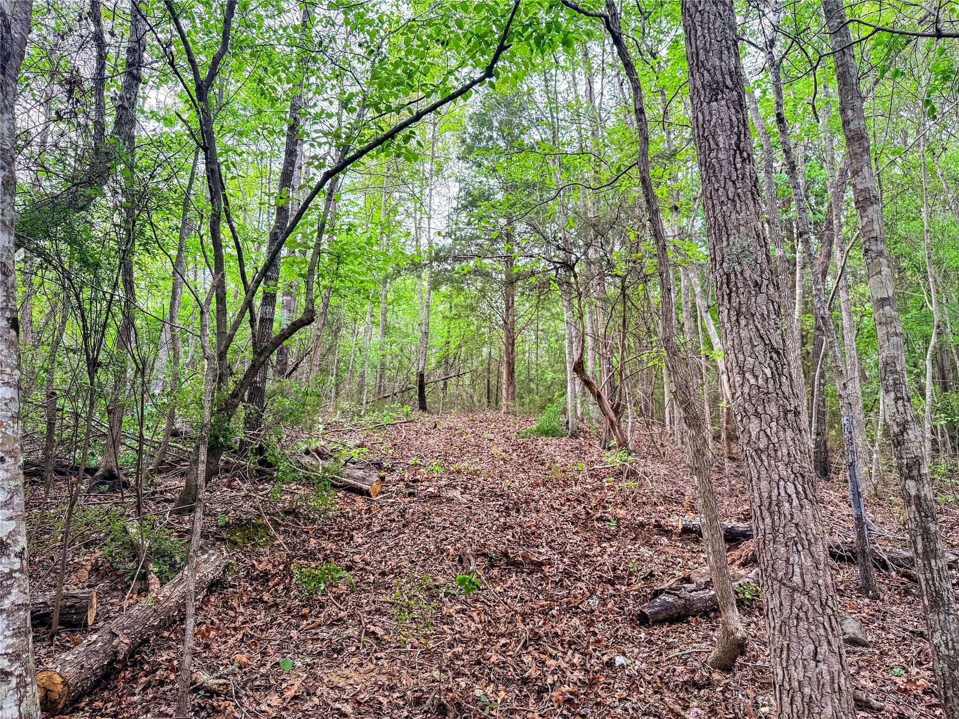 22.5 acres in Smith County - photo 27