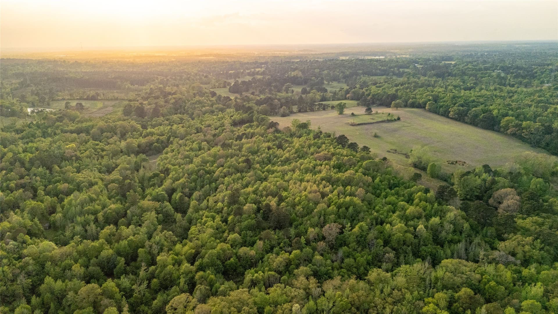 22.5 acres in Smith County - photo 8