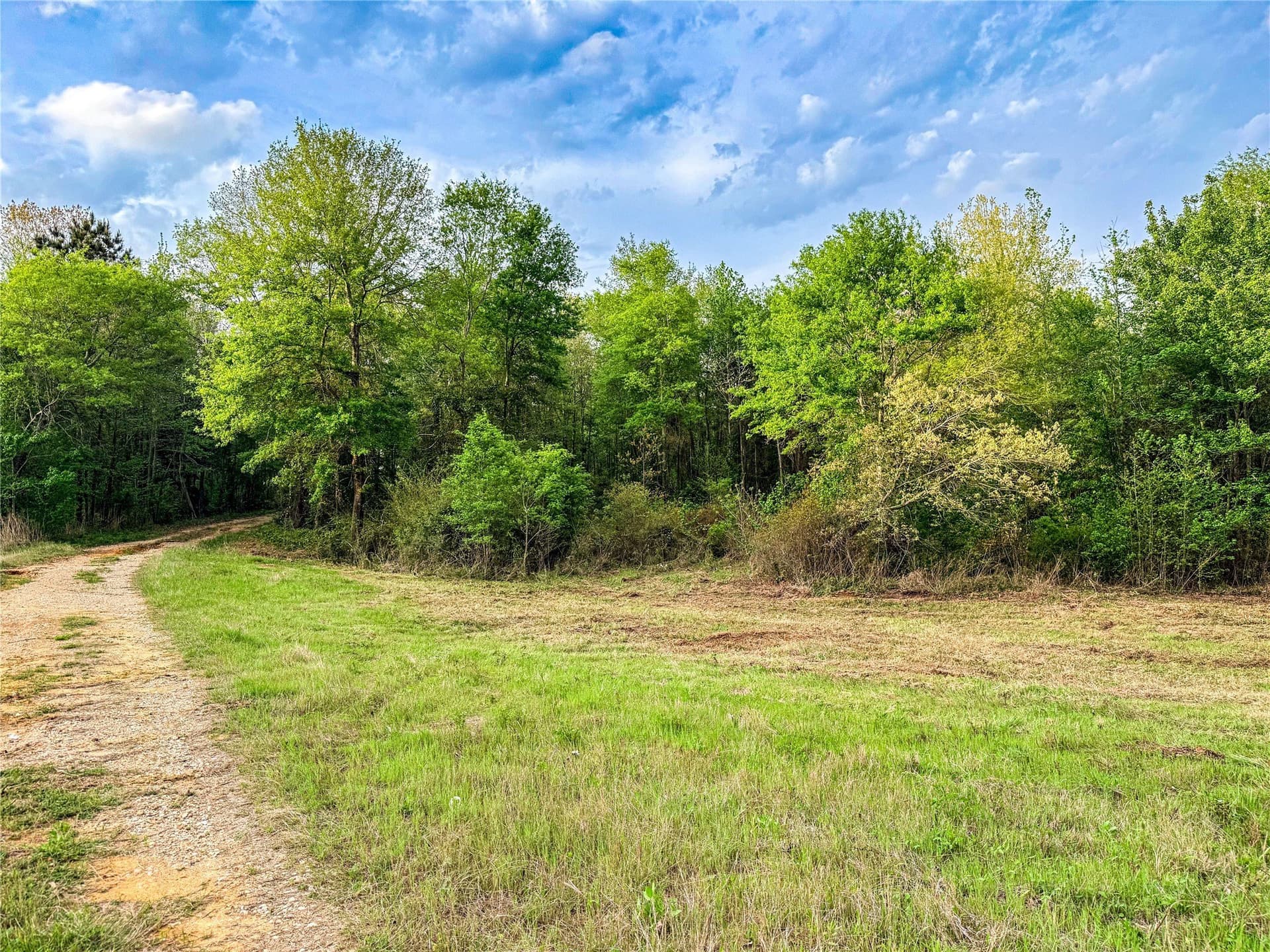 22.5 acres in Smith County - photo 37