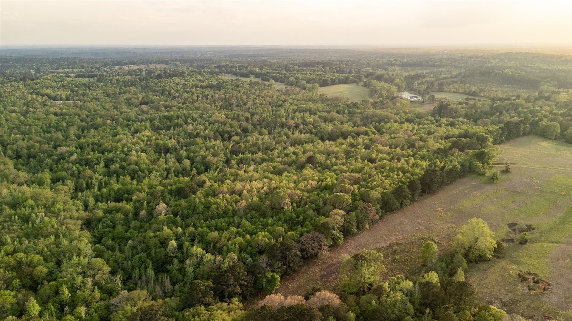 22.5 acres in Smith County - photo 10