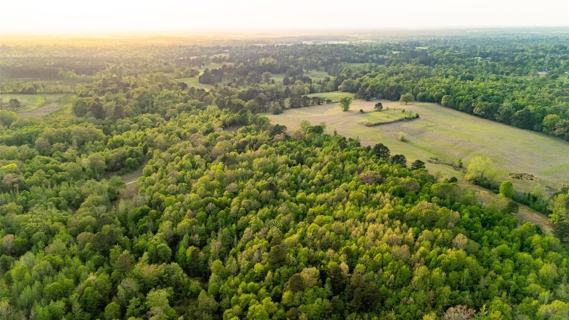 22.5 acres in Smith County