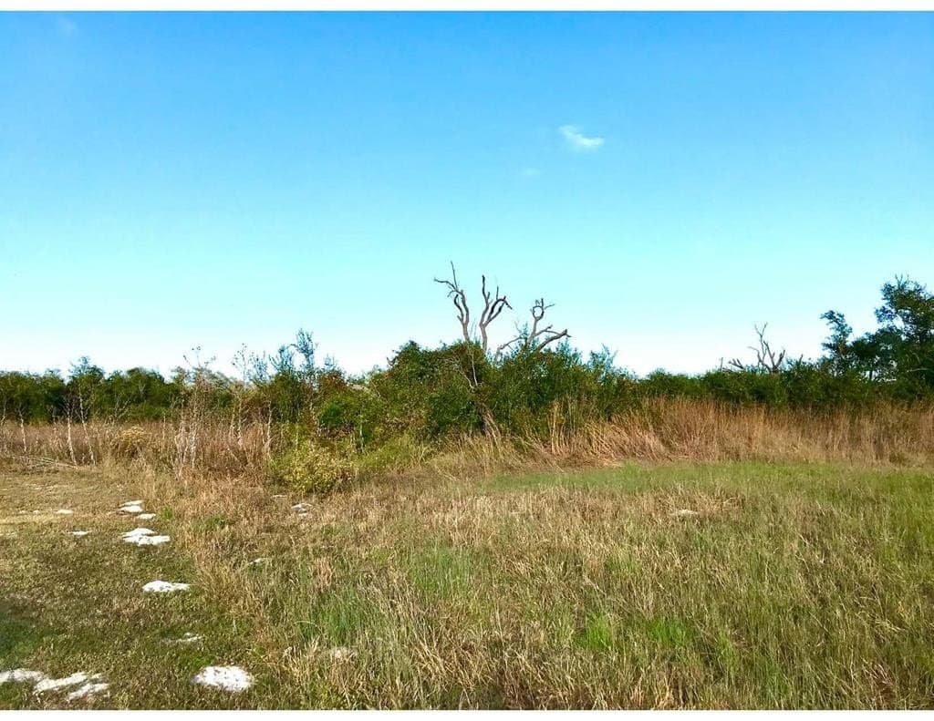 7.68 acres in Texas County - photo 13