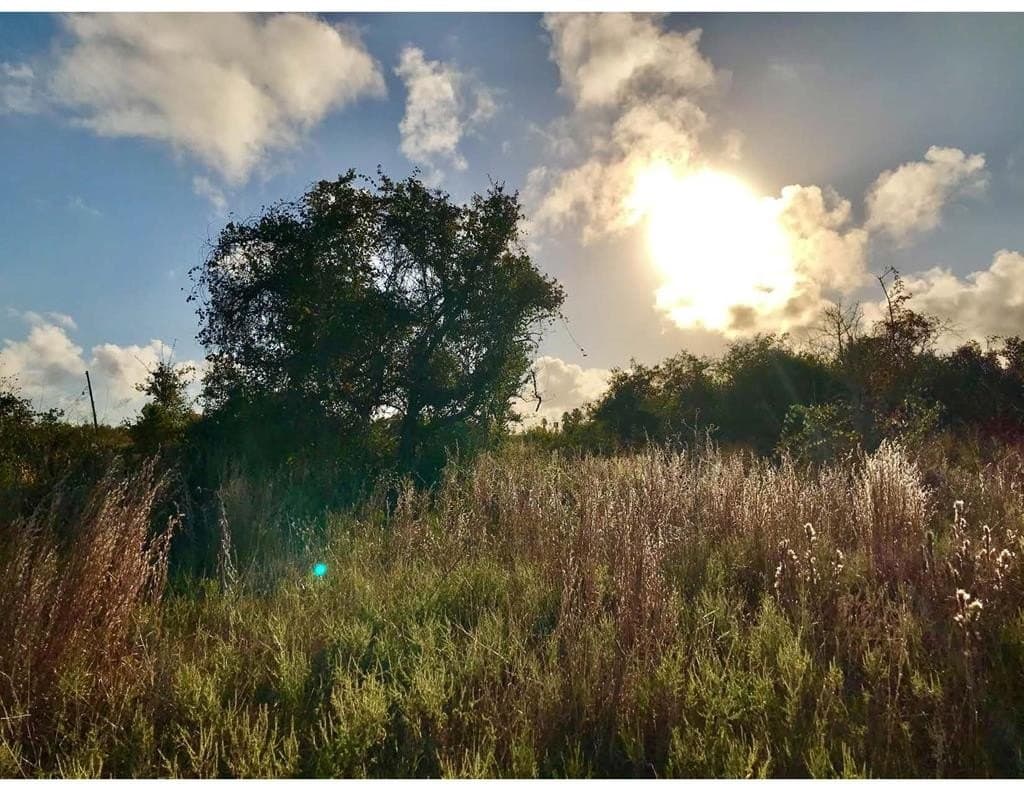 7.68 acres in Texas County gallery image 4