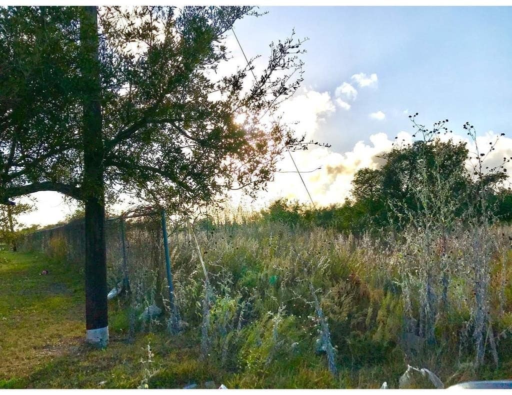 7.68 acres in Texas County - photo 11