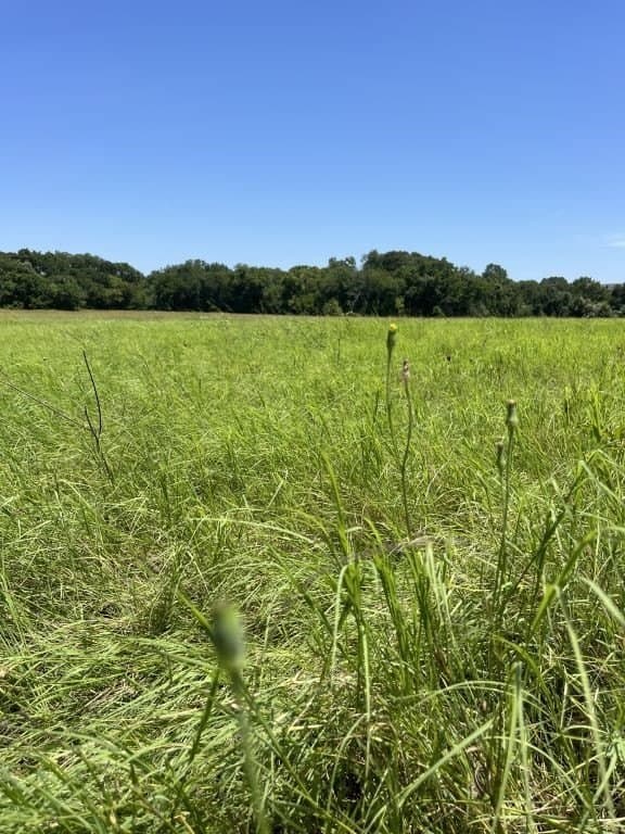 21.71 acres in Parker County gallery image 3