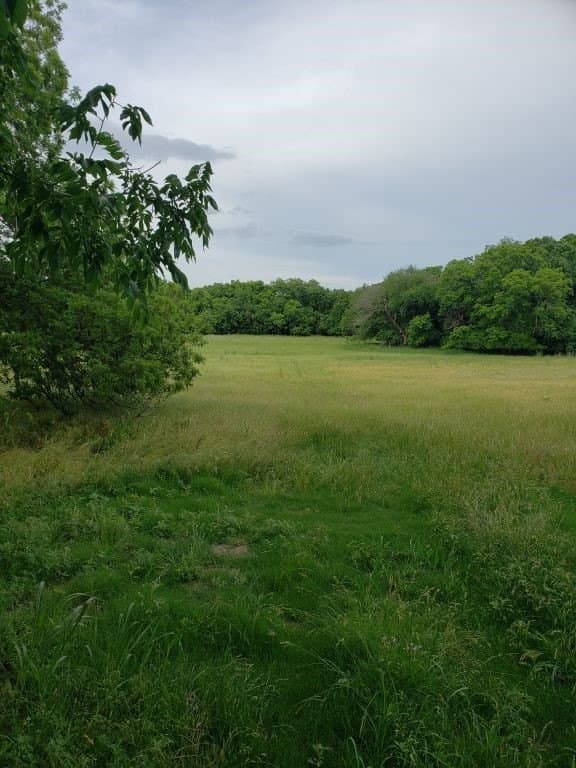21.71 acres in Parker County gallery image 2