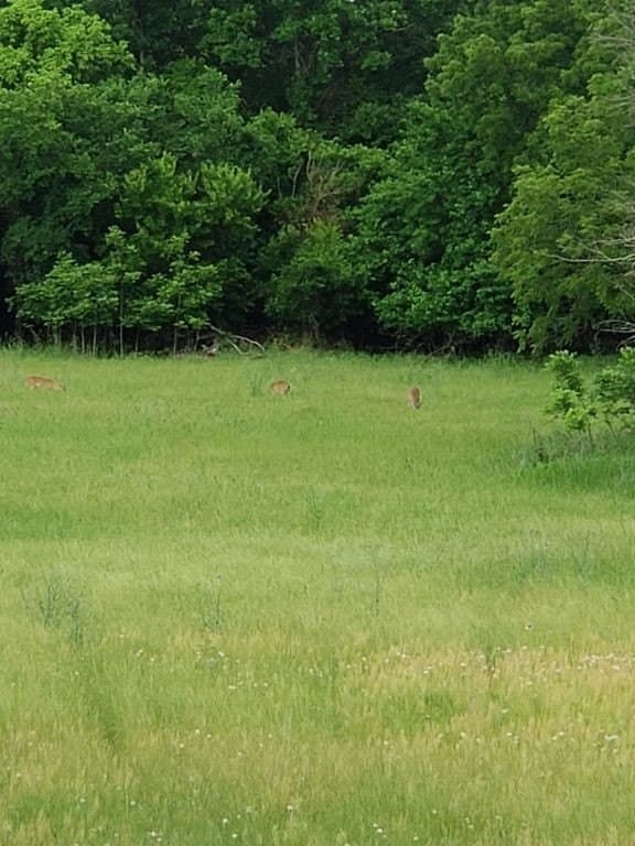 21.71 acres in Parker County featured view