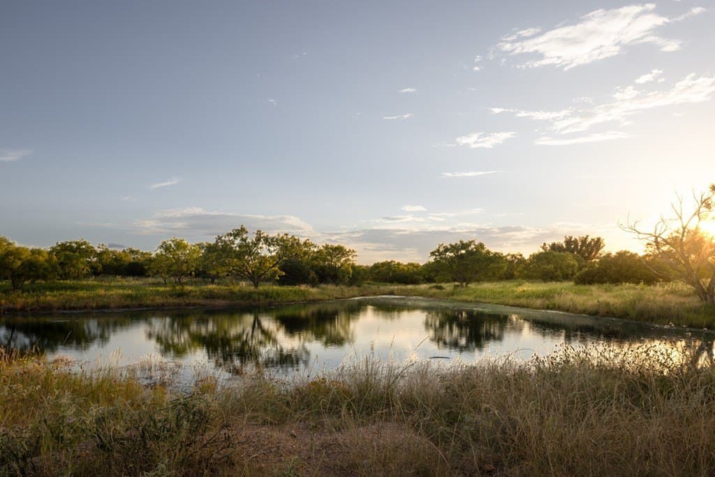 282.4 acres in Llano County gallery image 4