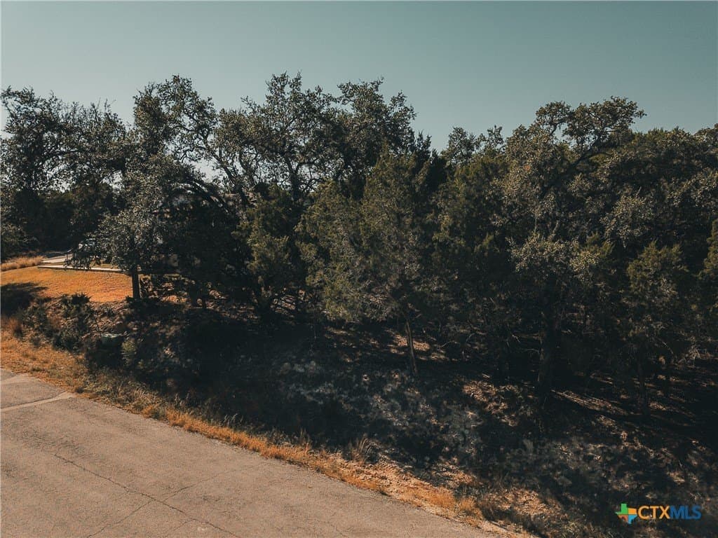 0.19 acres in Travis County - photo 3