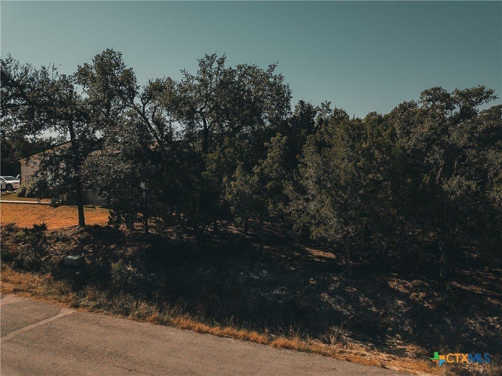 0.19 acres in Travis County - photo 8