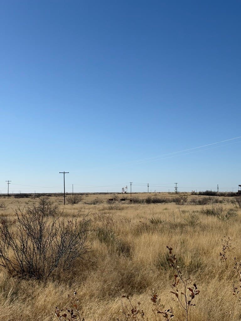 160 acres in Andrews County gallery image 4
