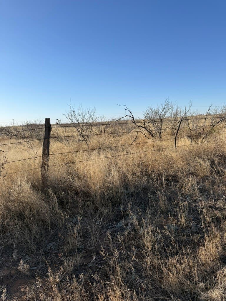 160 acres in Andrews County - photo 7