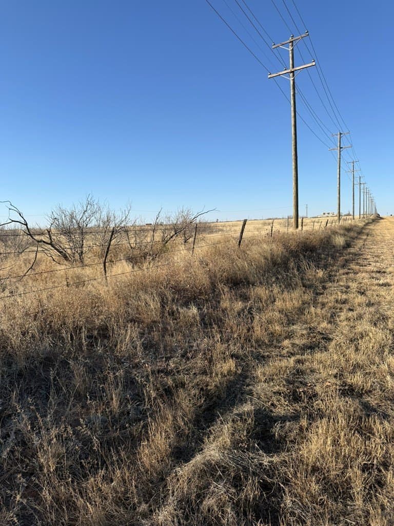 160 acres in Andrews County - photo 6