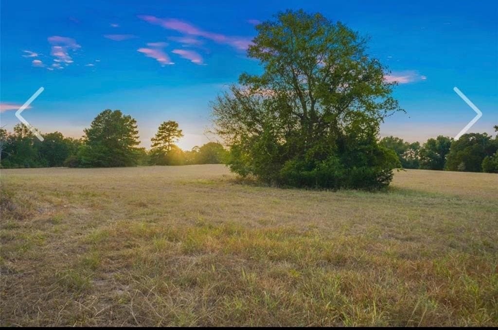 30.37 acres in Texas County - photo 38