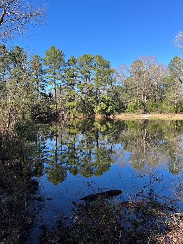 30.37 acres in Texas County - photo 35
