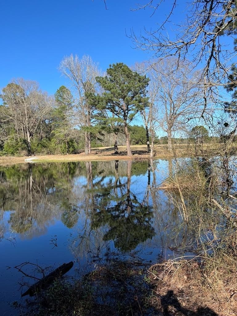 30.37 acres in Texas County - photo 42
