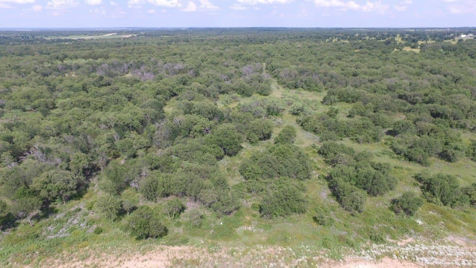 5.02 acres in Palo Pinto County gallery image 3