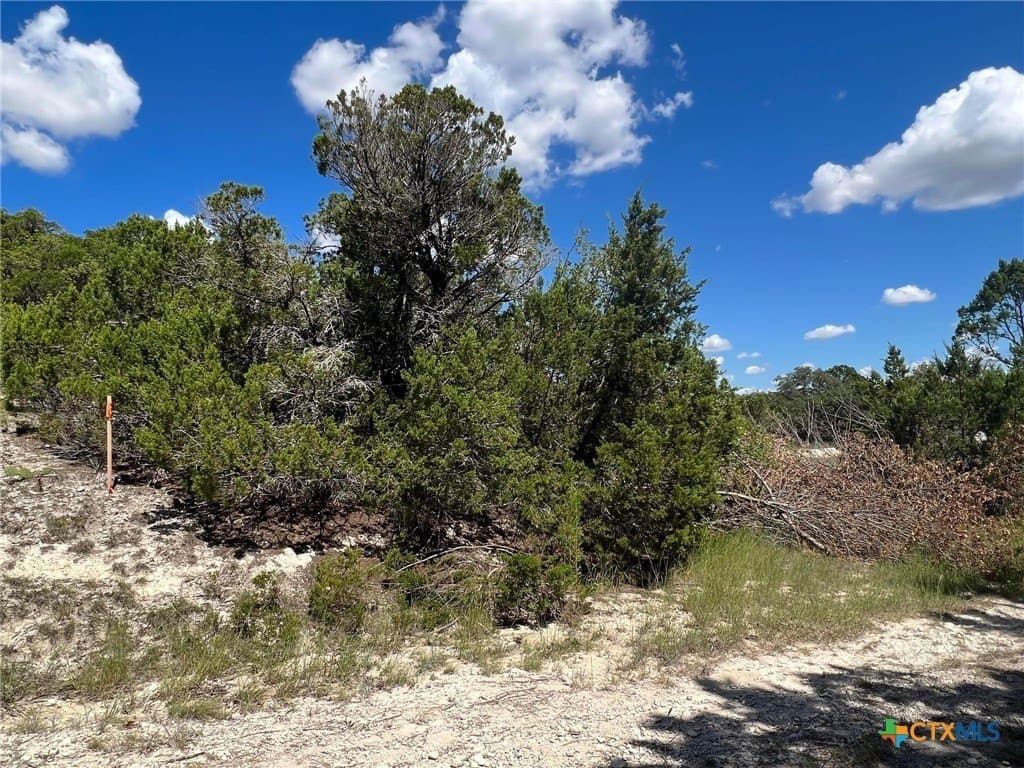 0.35 acres in Coryell County - photo 6