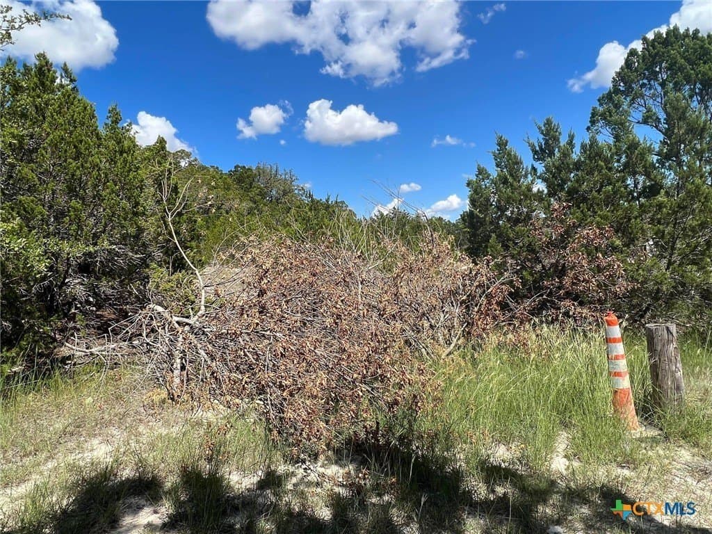 0.35 acres in Coryell County gallery image 2