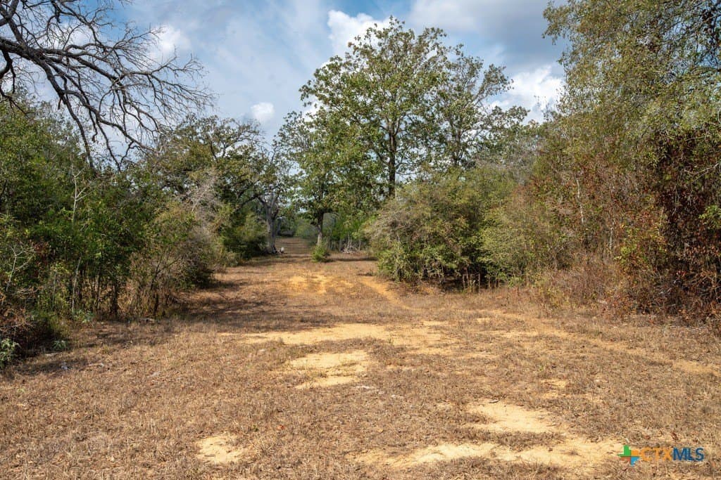 81.89 acres in Caldwell County - photo 27