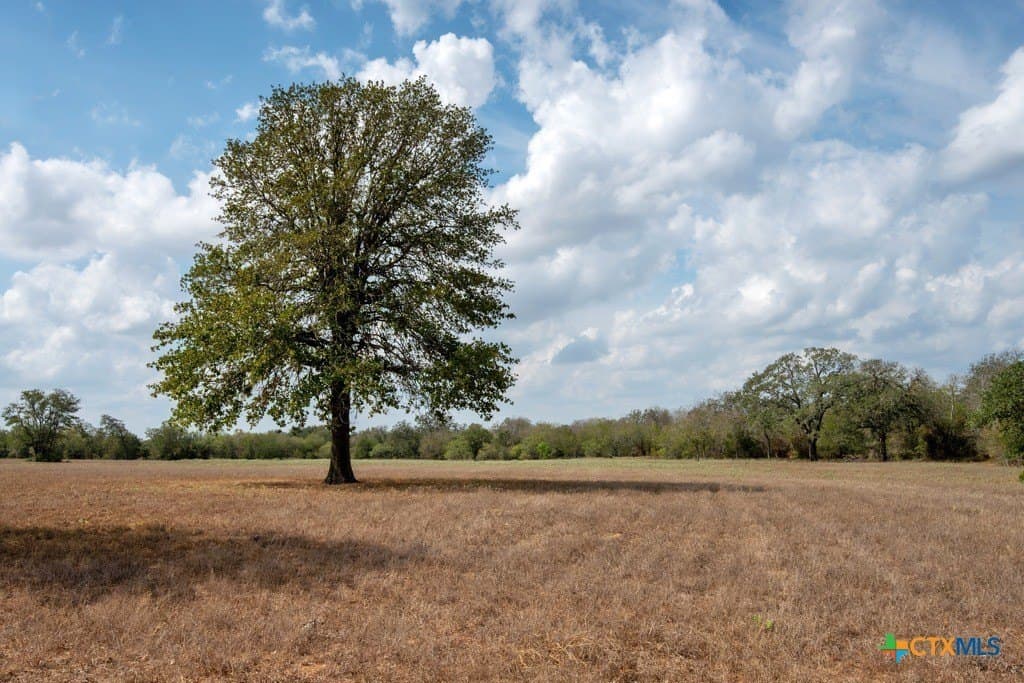 81.89 acres in Caldwell County - photo 29