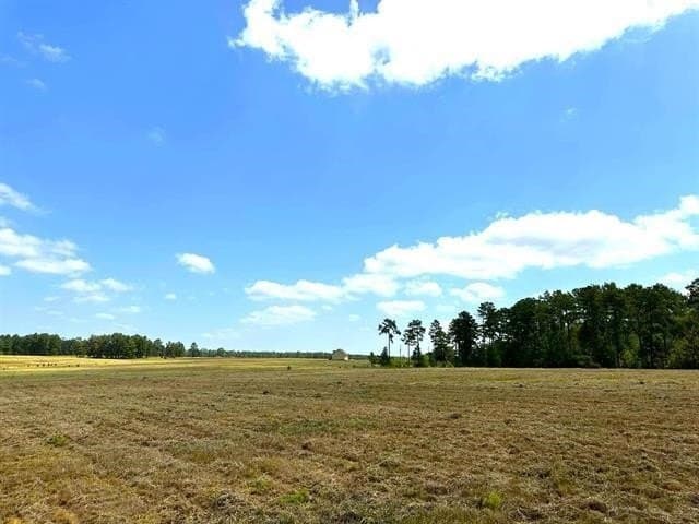 4.2 acres in Texas County - photo 6