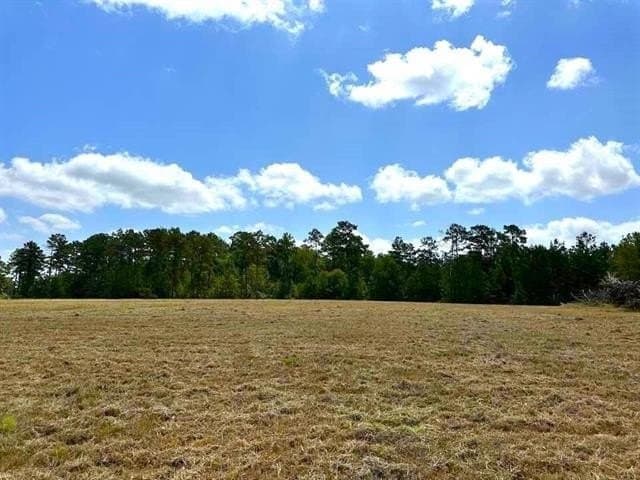 4.2 acres in Texas County - photo 18