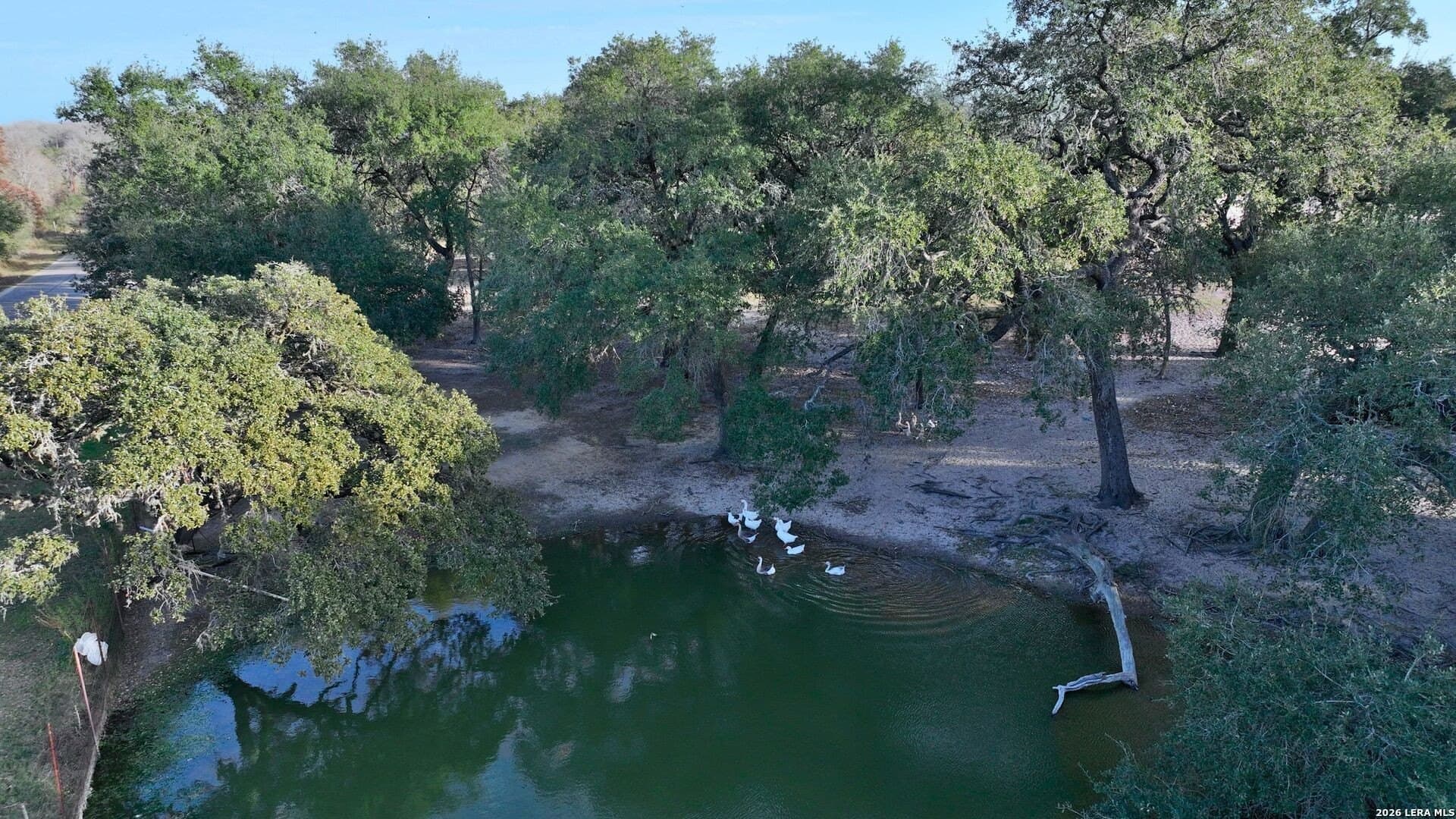 2.55 acres in Wilson County gallery image 4