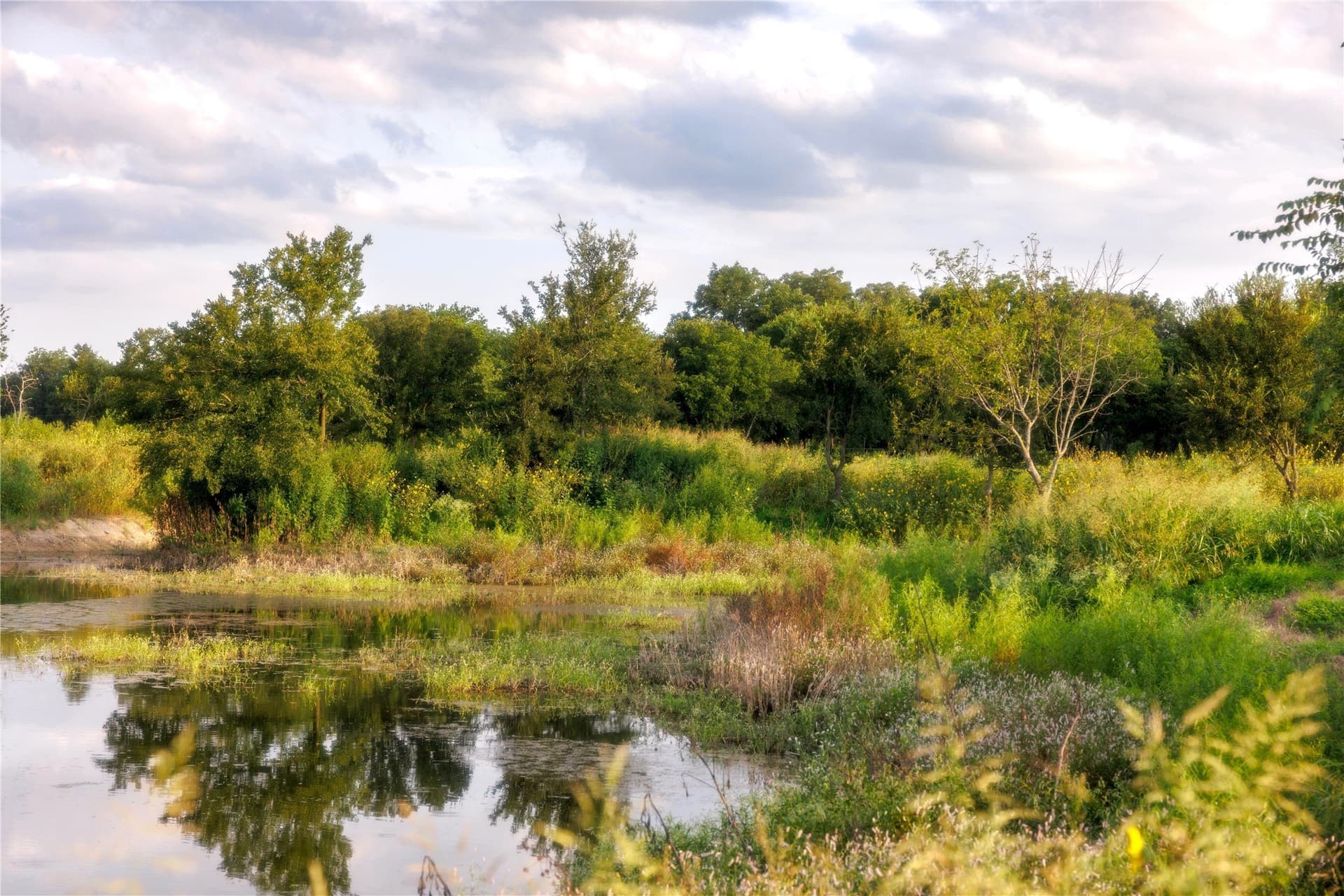 24 acres in Bosque County gallery image 3