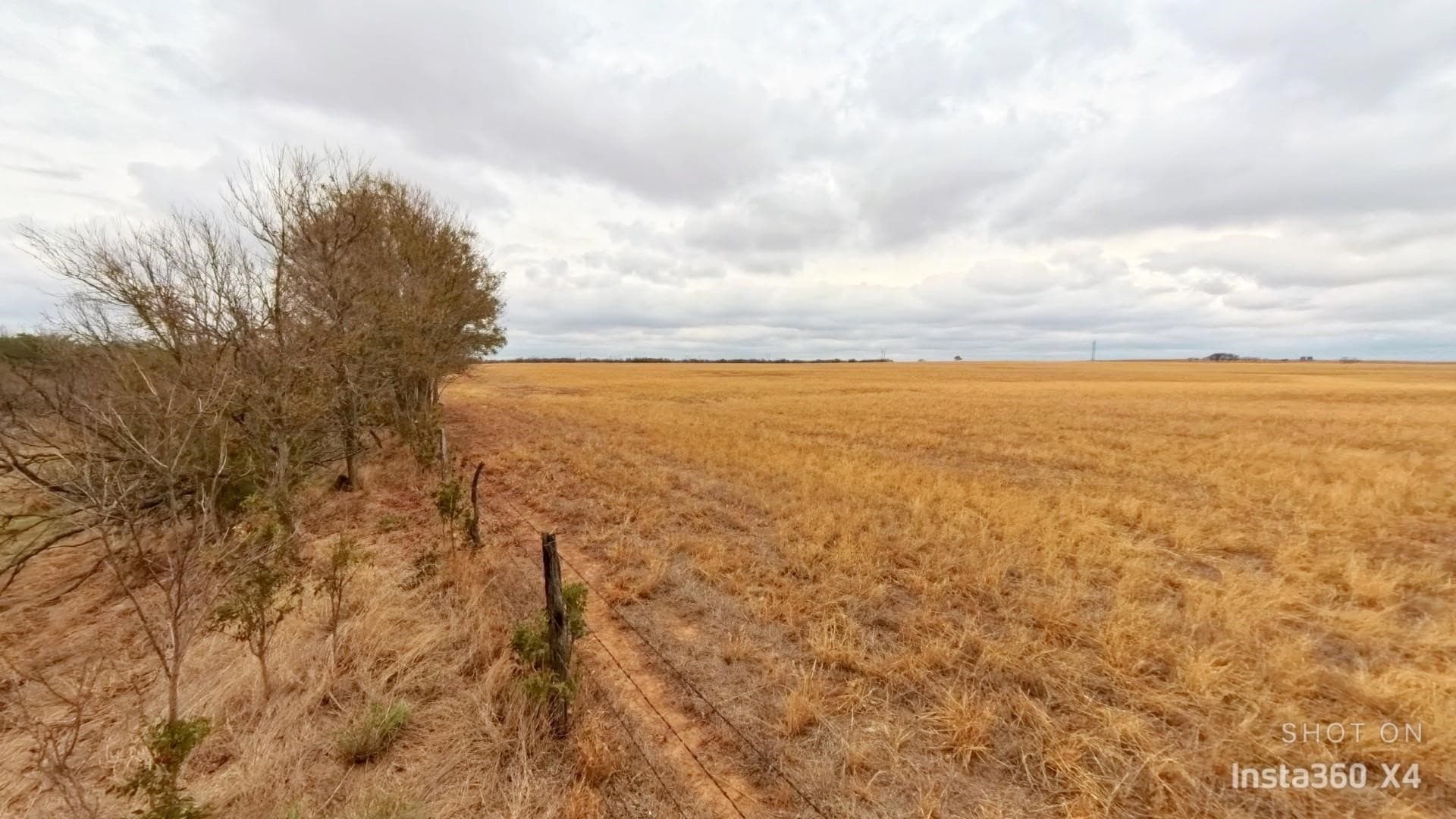 30 acres in Wichita County featured view