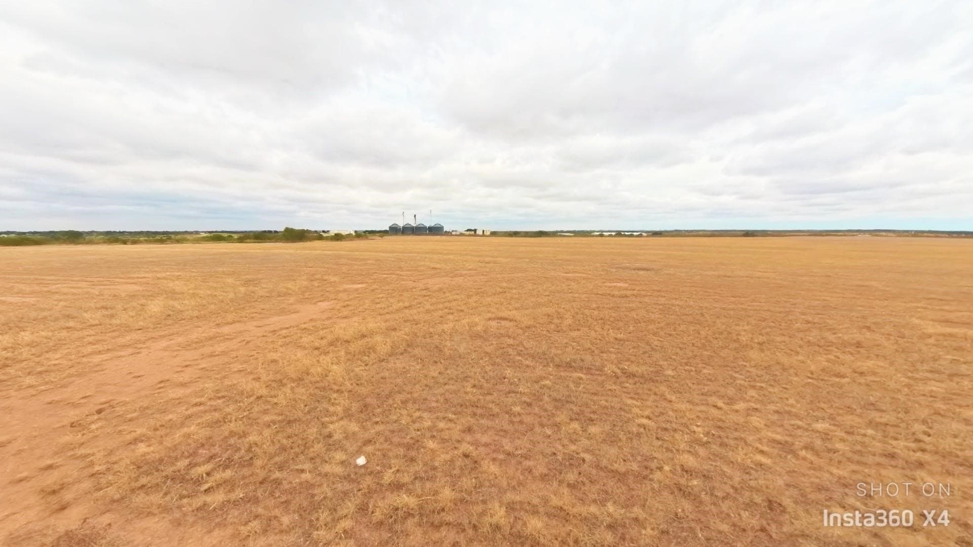30 acres in Wichita County gallery image 4