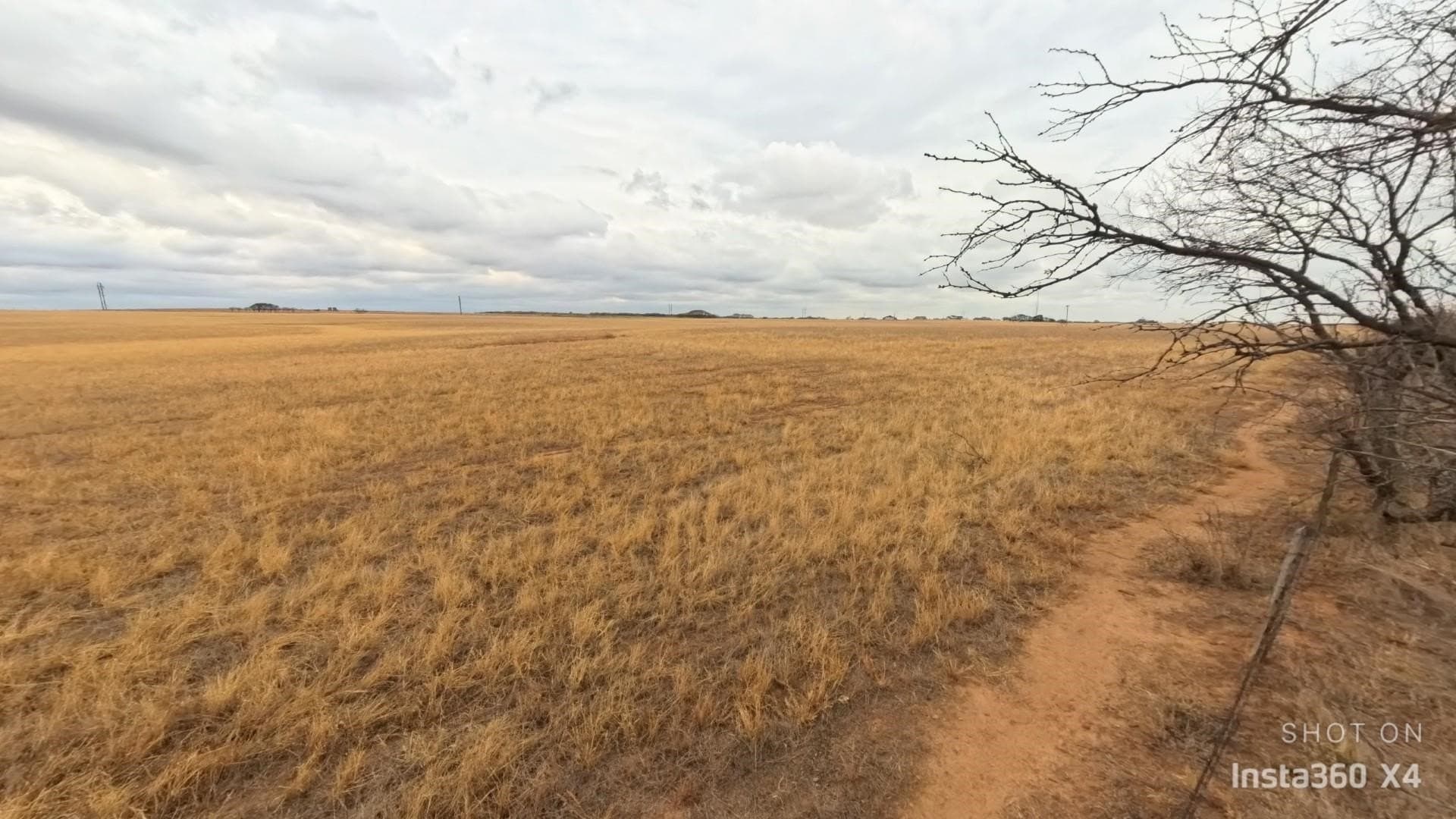 30 acres in Wichita County gallery image 2