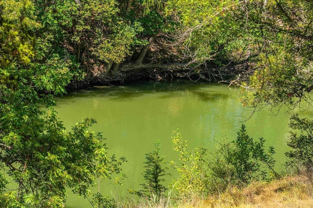 4.69 acres in Kendall County - photo 21