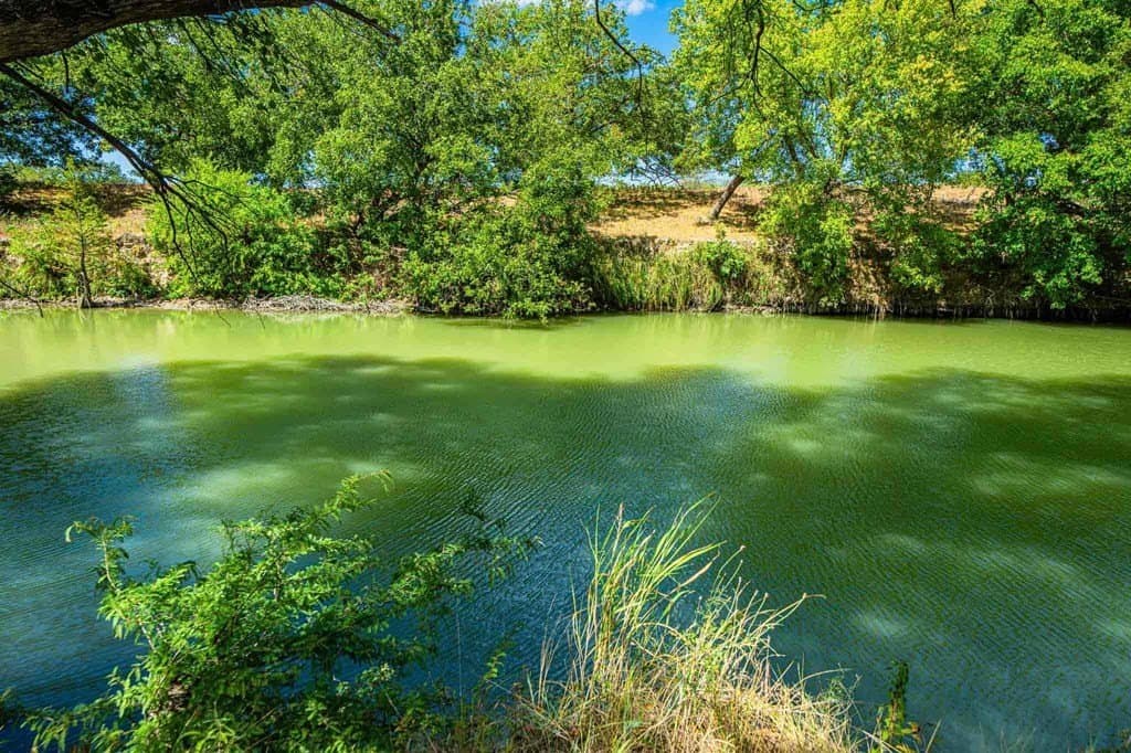 4.69 acres in Kendall County - photo 20