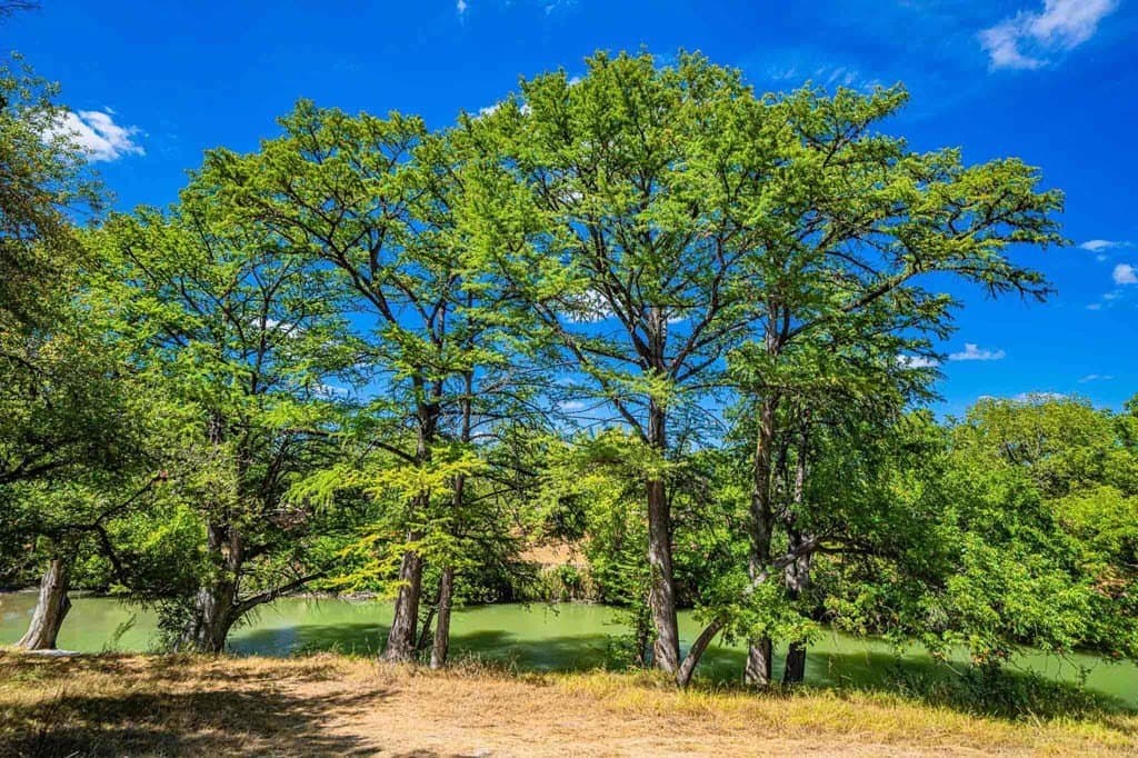 4.69 acres in Kendall County - photo 16