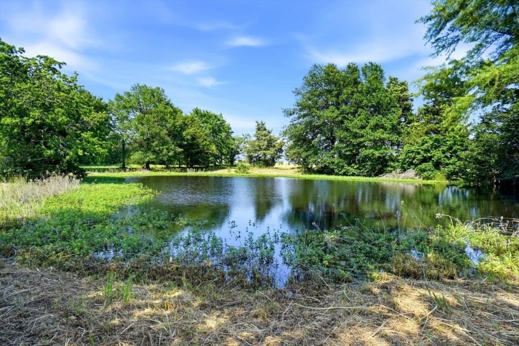 19.9 acres in Hunt County - photo 38