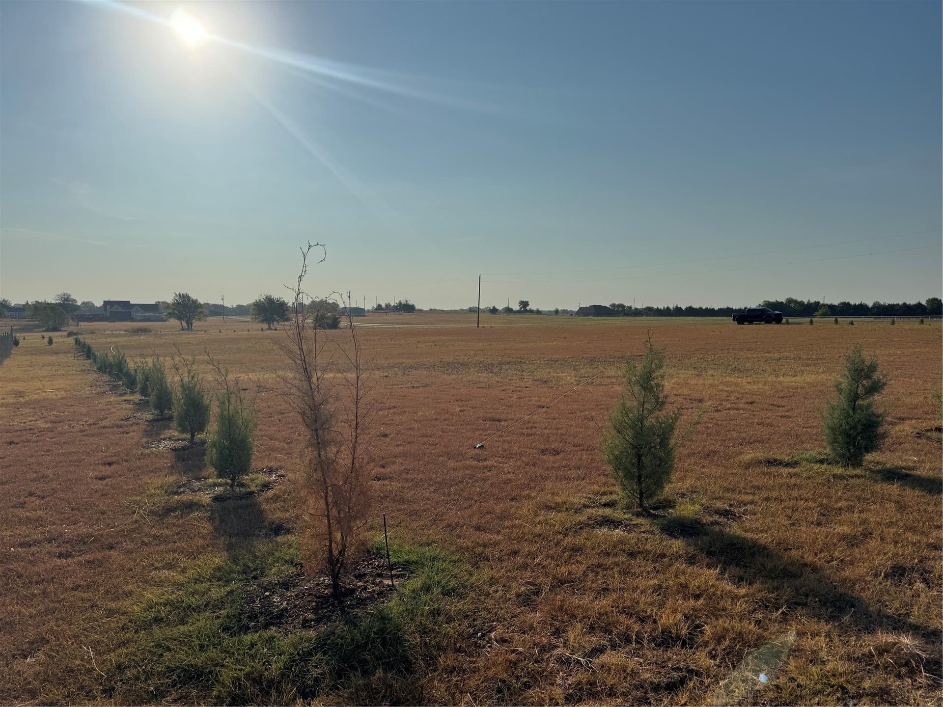 2.37 acres in Fannin County - photo 3