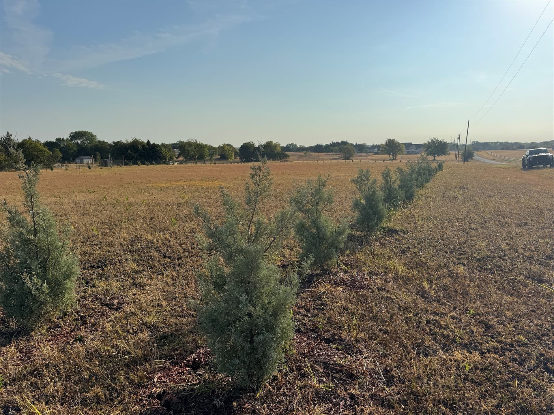 2.37 acres in Fannin County - photo 2