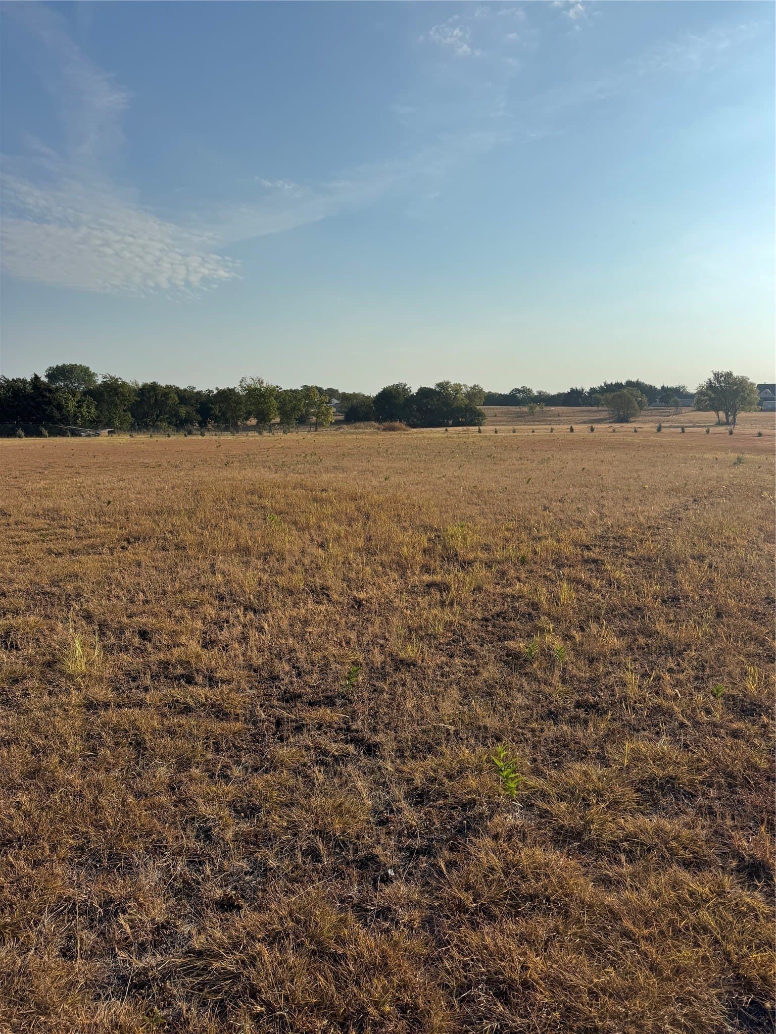2.37 acres in Fannin County - photo 5