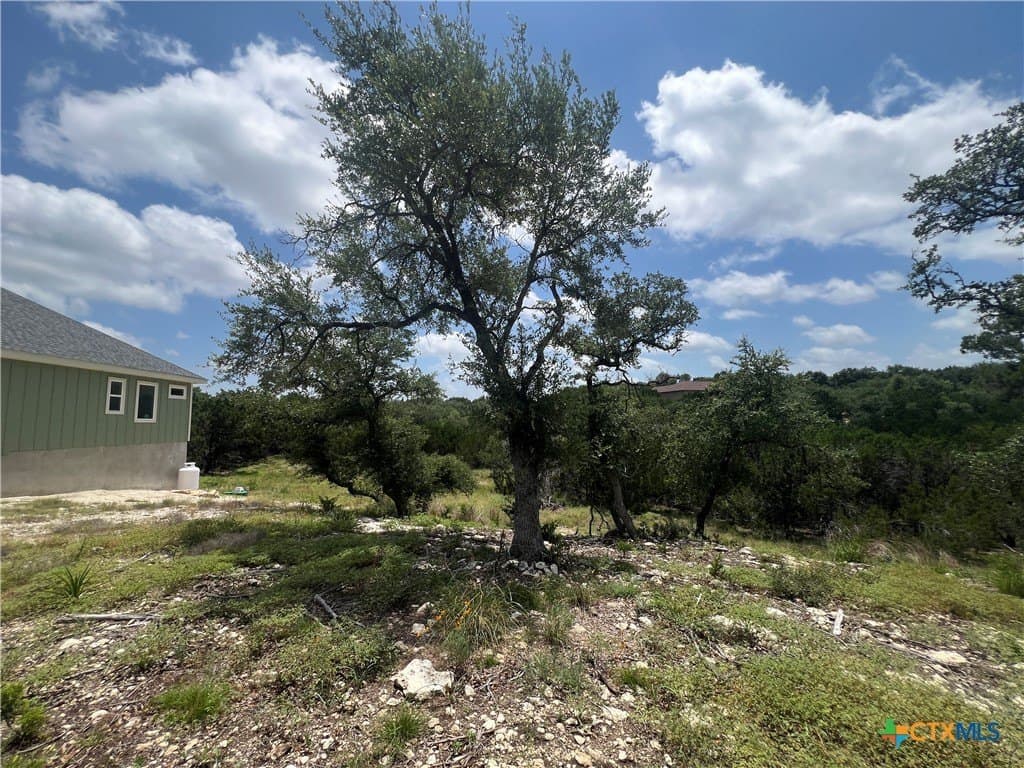 0.51 acres in Comal County gallery image 2