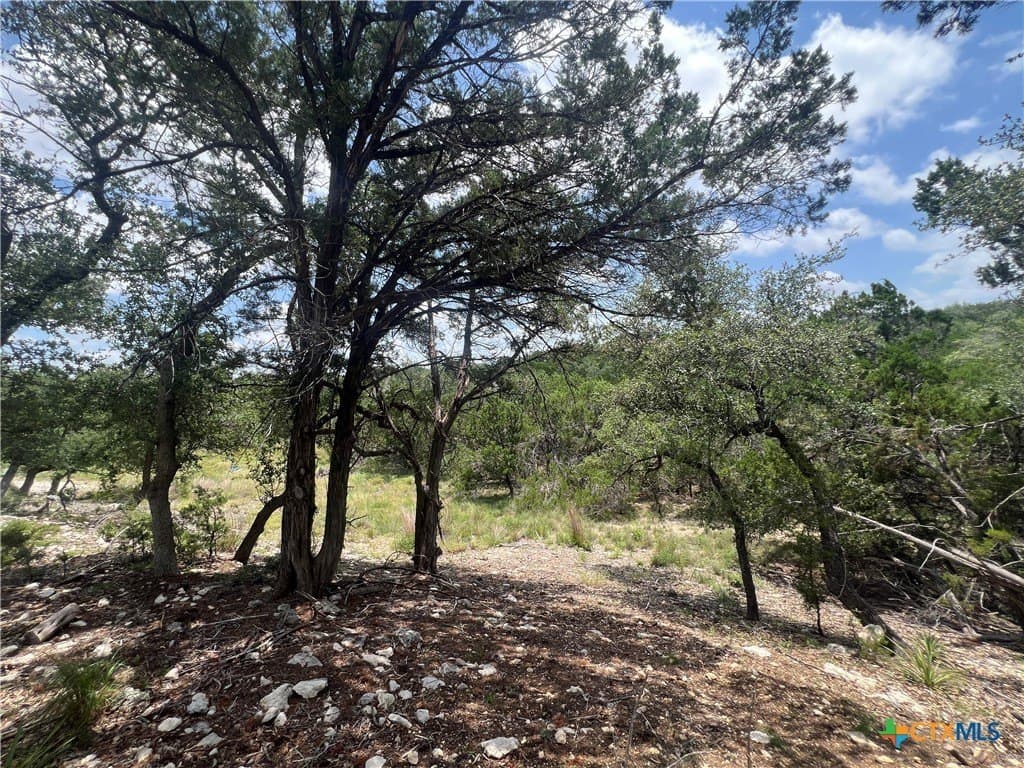 0.51 acres in Comal County gallery image 3