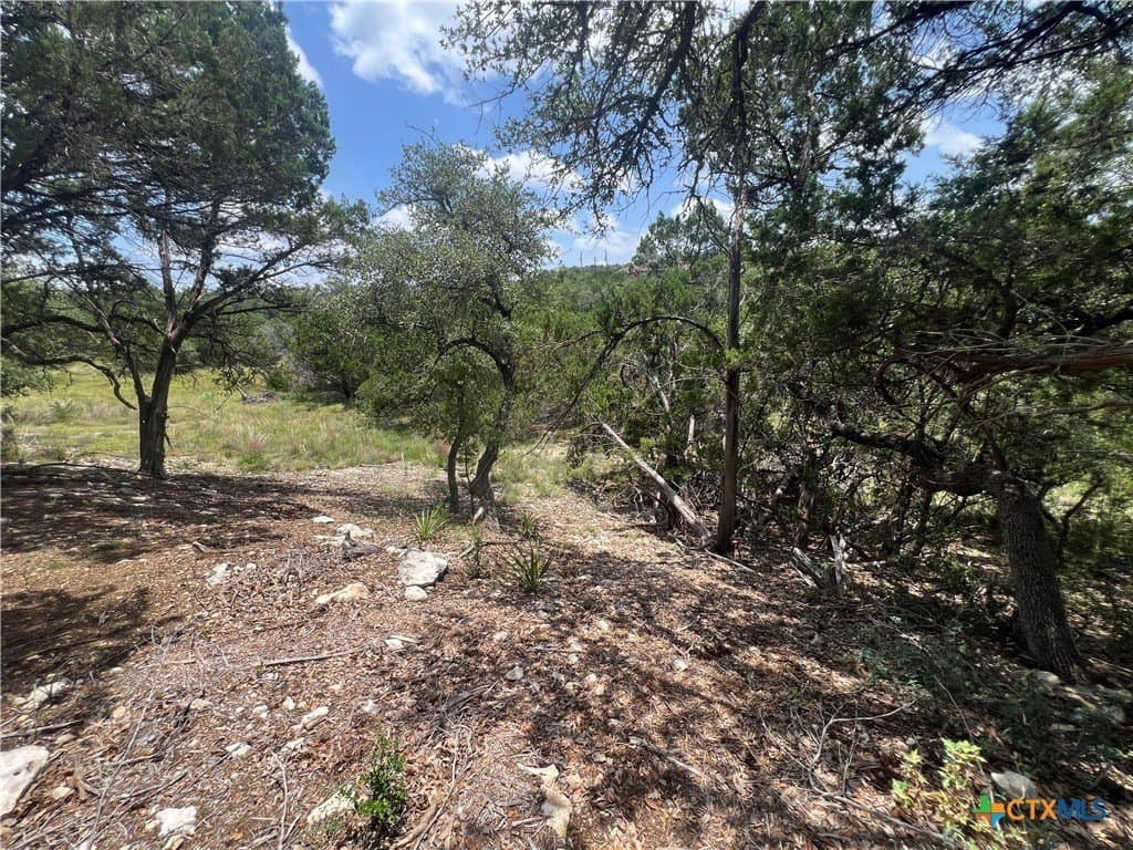 0.51 acres in Comal County - photo 9