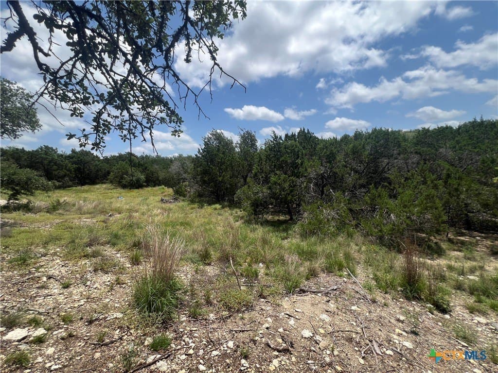 0.51 acres in Comal County - photo 7