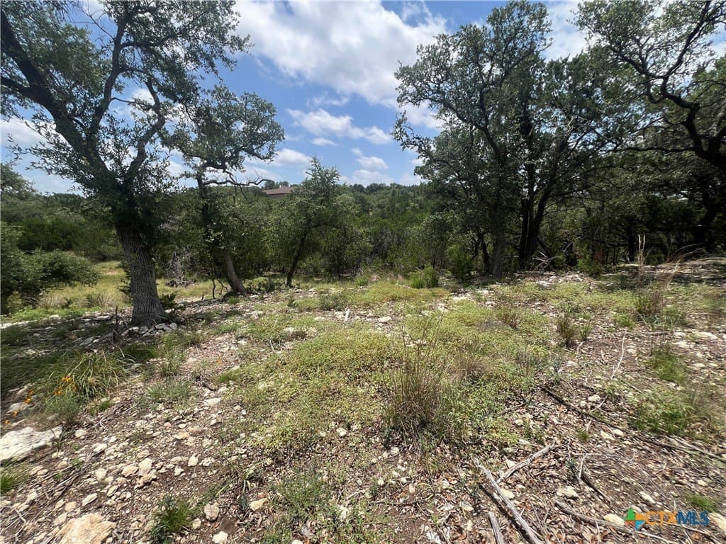 0.51 acres in Comal County gallery image 4