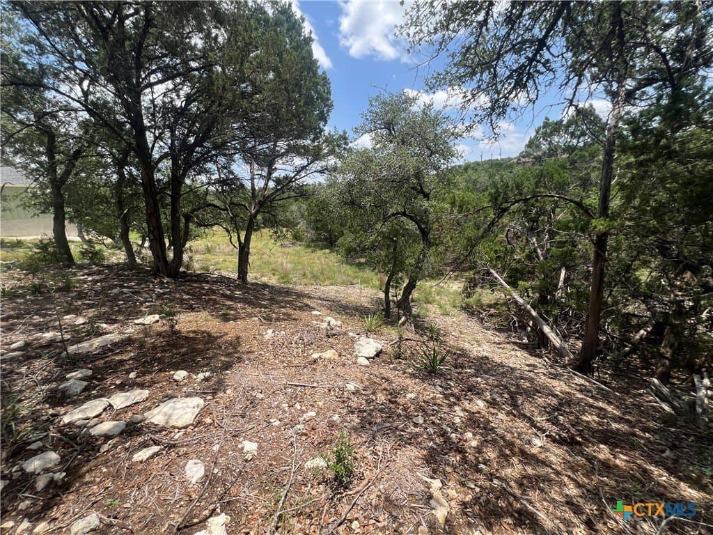 0.51 acres in Comal County featured view