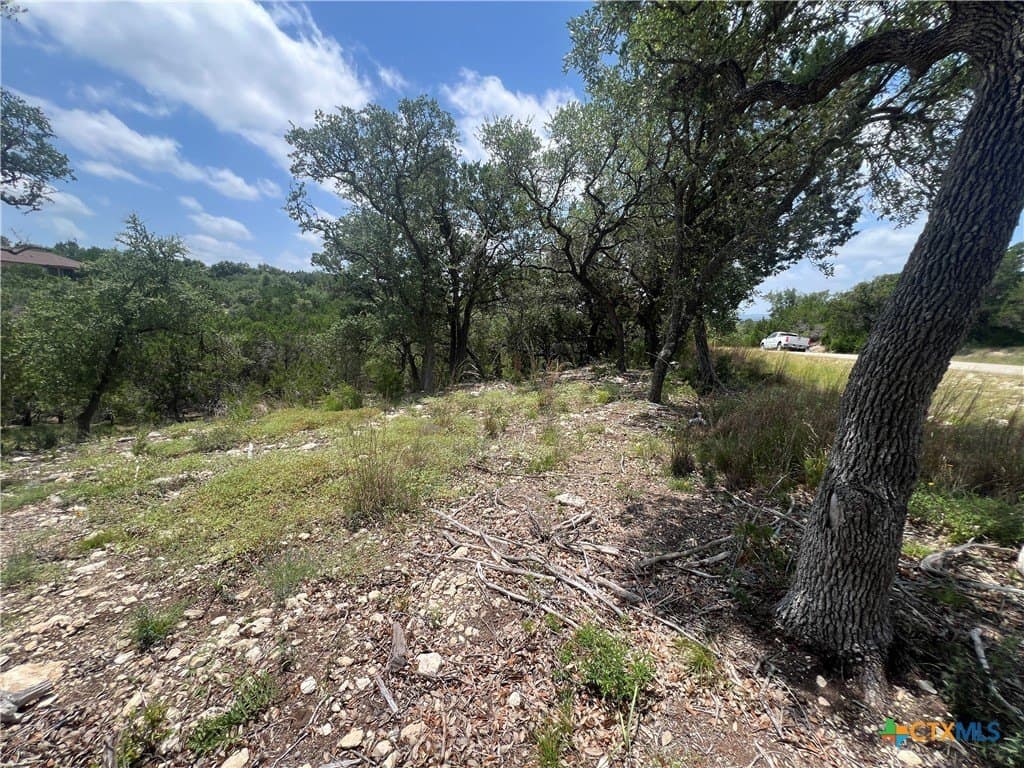 0.51 acres in Comal County - photo 8