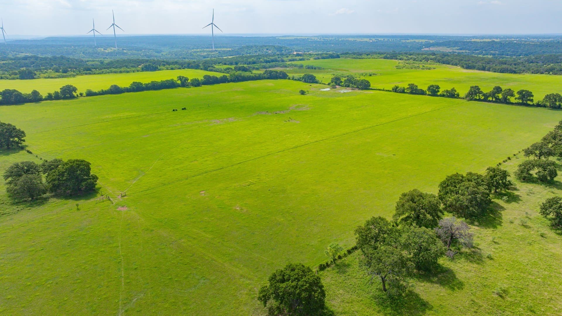 165 acres in Stephens County - photo 4